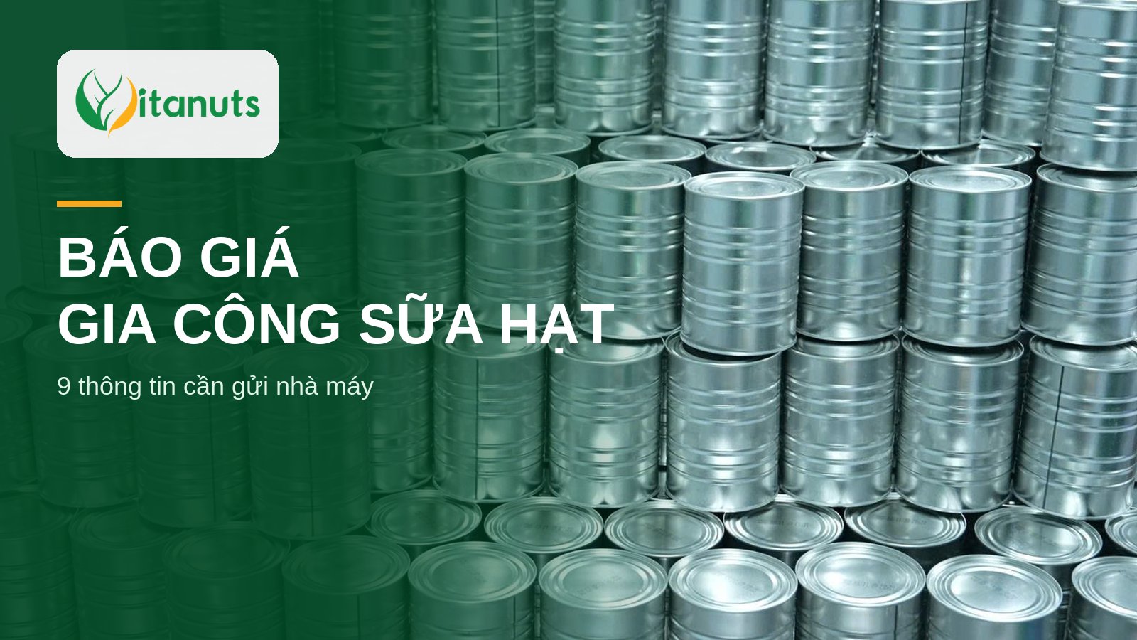 Lon kim loại xếp chồng tại nhà máy Vitanuts, minh họa báo giá gia công sữa hạt