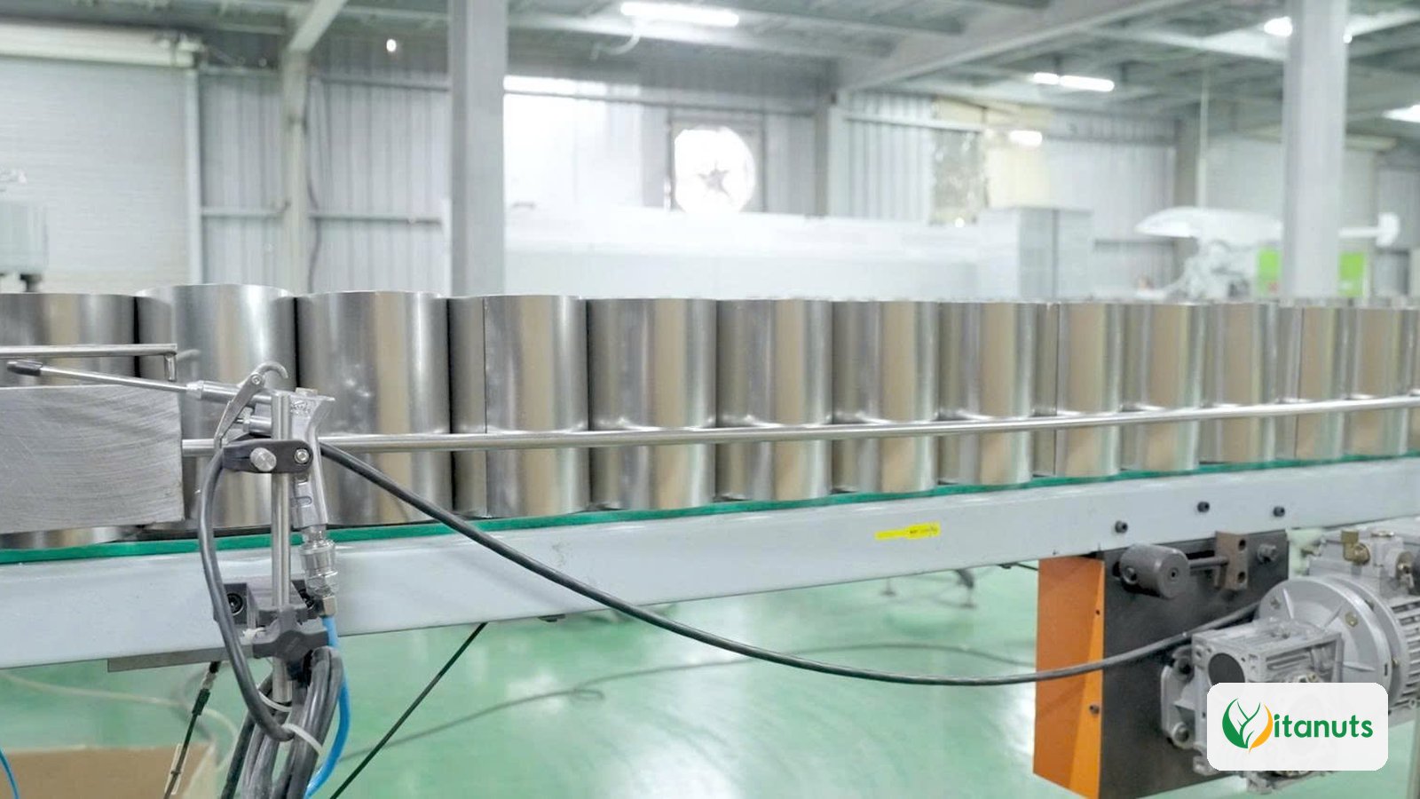 Lon kim loại trên băng tải tại nhà máy Vitanuts