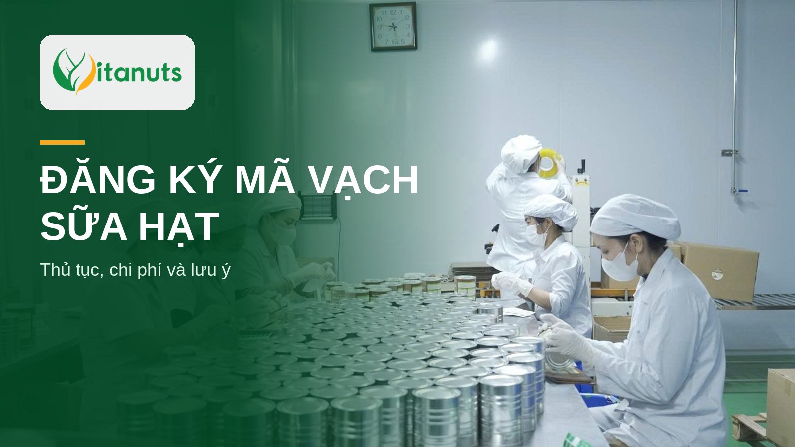 Công nhân đóng gói lon sữa hạt dạng bột tại nhà máy Vitanuts, minh họa đăng ký mã vạch sữa hạt