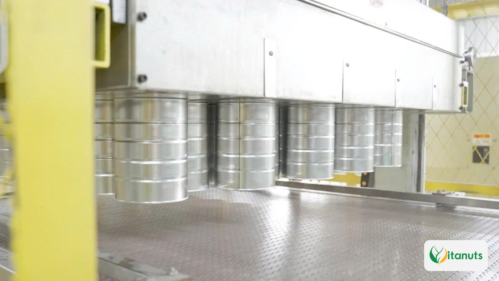 Lon trên dây chuyền sản xuất lon tại nhà máy Vitanuts