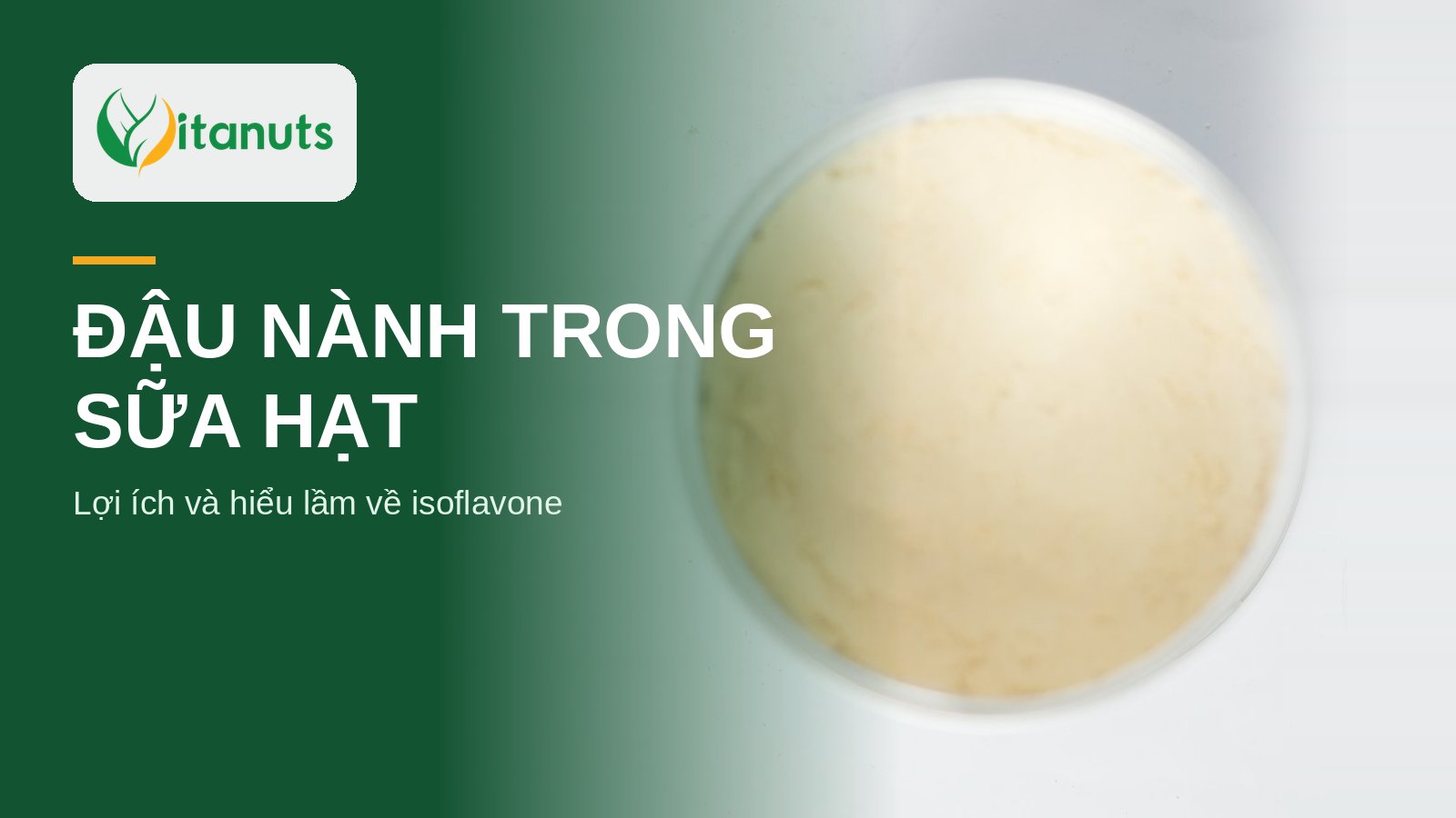 Bột sữa hạt từ nguyên liệu thực vật trong lon mở nắp, minh họa đậu nành trong sữa hạt