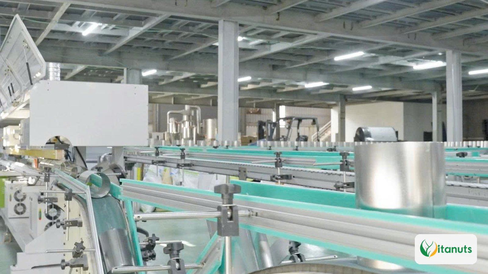 Dây chuyền sản xuất lon tại nhà máy Vitanuts
