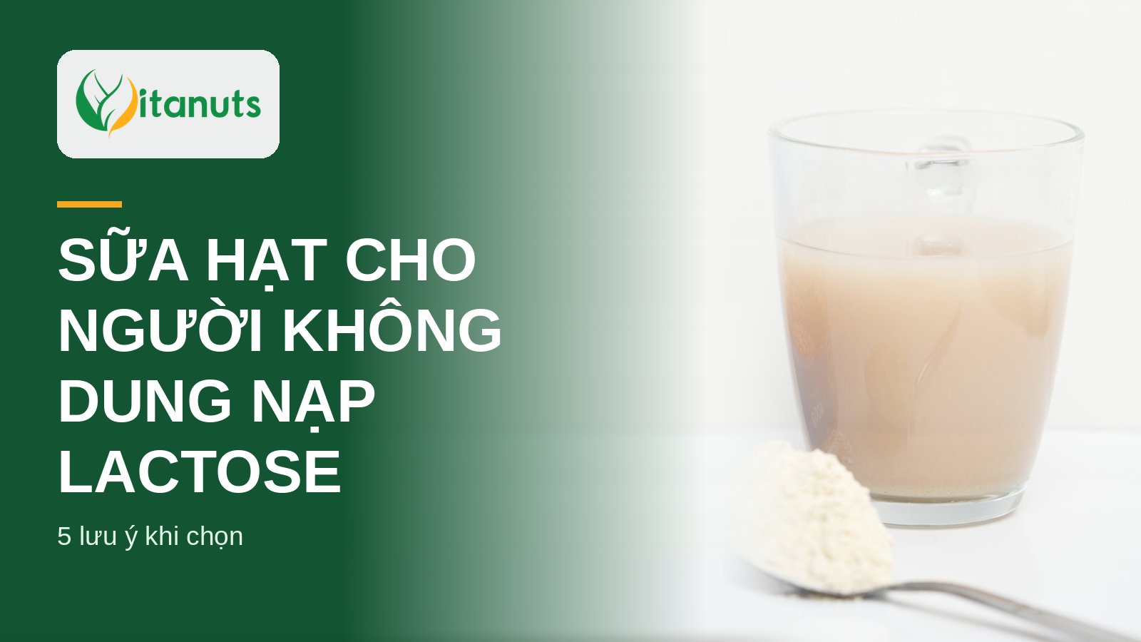 Ly sữa hạt pha sẵn và muỗng bột, minh họa sữa hạt cho người không dung nạp lactose