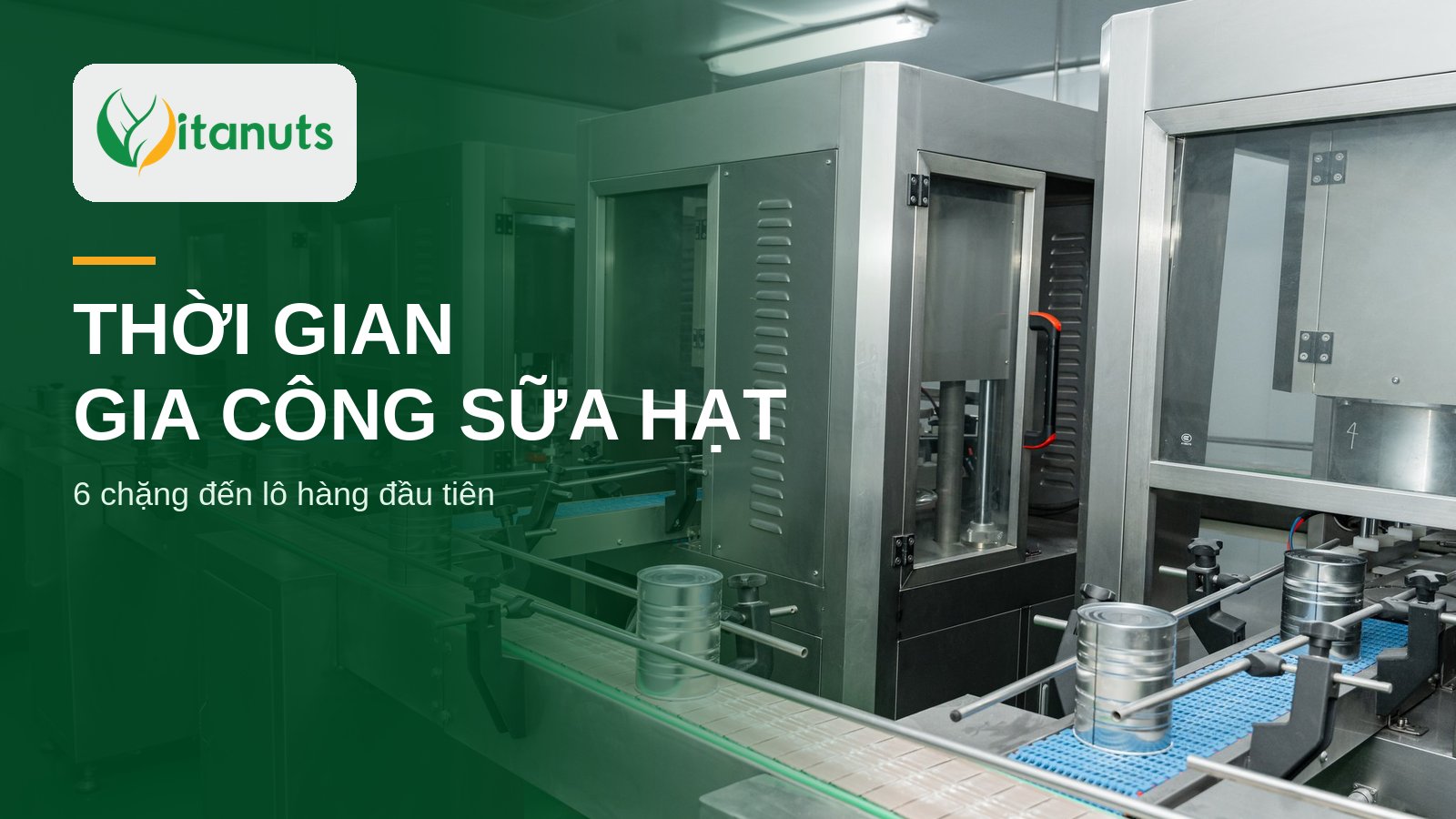 Dây chuyền đóng lon sữa hạt dạng bột, minh họa thời gian gia công sữa hạt tại nhà máy Vitanuts